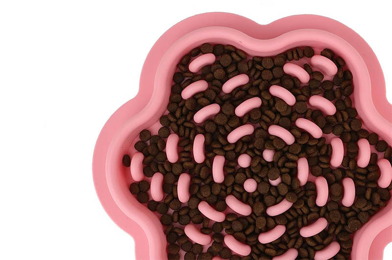 cuencos para gatos de alimentación lenta